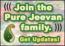Raw Foods / Living Foods Newsletter from Pure Jeevan